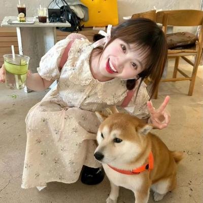 总统的生日蛋糕